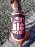 Vesta pro psa Vesta pro psa