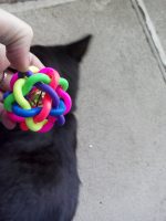 Hračka pro kočku Hračka pro kočku