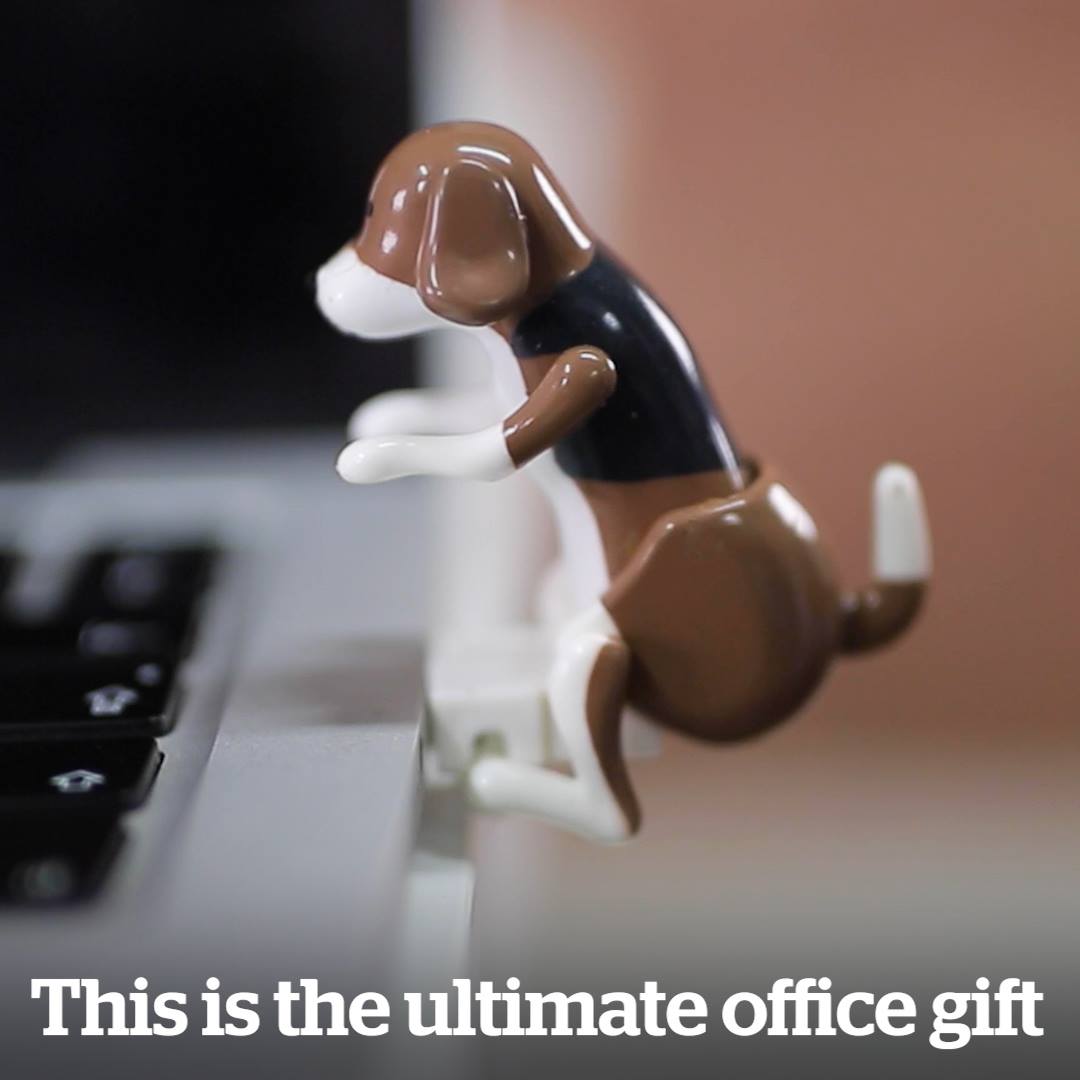 Sledovat S7 EP 02: Humping Dog Desk Accessory