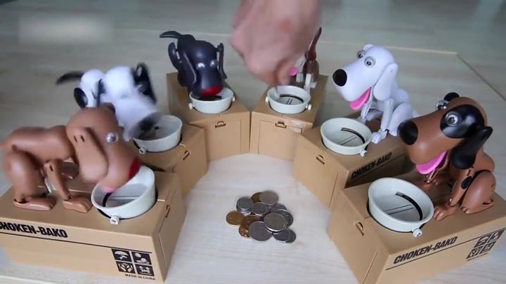 Sledovat Pokladnička Doggy 🐕💰