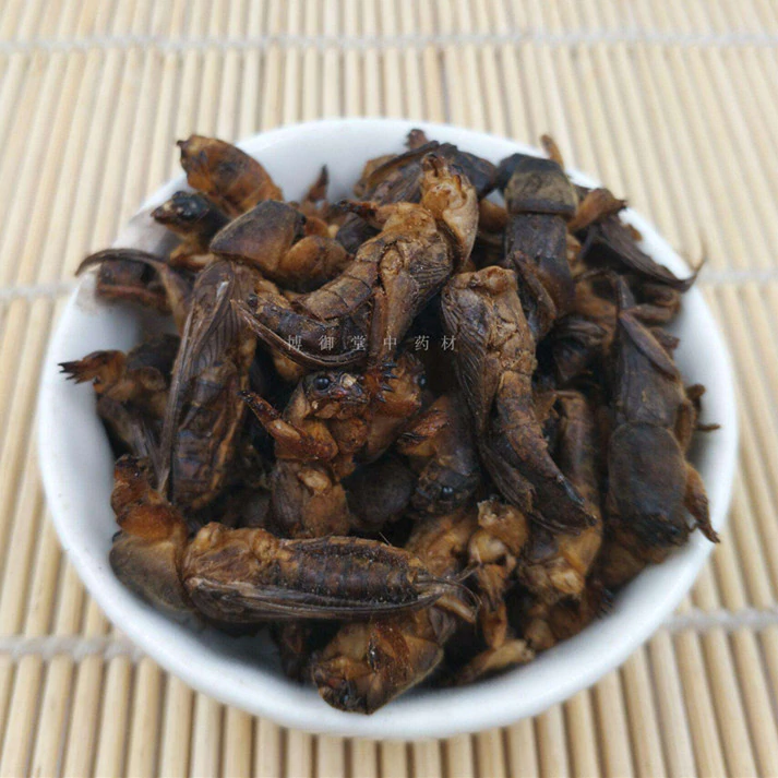 US $15.29 9% OFF|Wild Dried Mole Cricket 250g/500g Per Pack-in Feeding & Watering Supplies from Home & Garden on Aliexpress.com | Alibaba Group