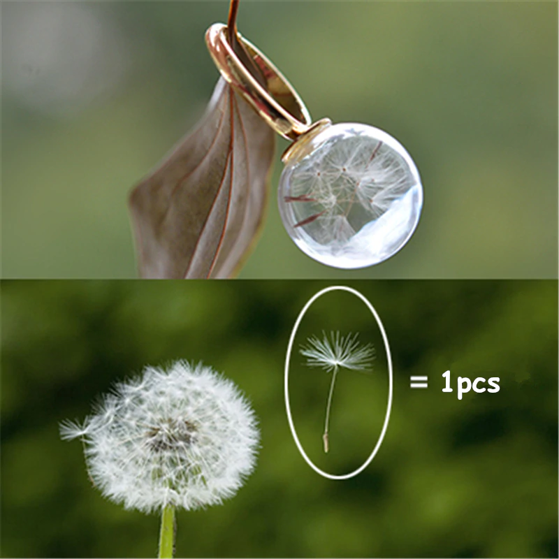 US $2.2 |(30pcs or 350pcs) /Glass Ball Filler diy Material Dandelions Natural Dried flowers For the Epoxy Time gemstone Glass filled-in Jewelry Findings & Components from Jewelry & Accessories on Aliexpress.com | Alibaba Group