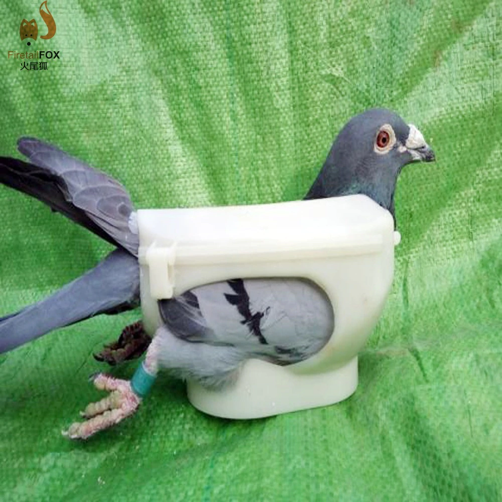 US $9.5 5% OFF|free shipping New Pigeons holder dove special medicine injection fixer 1 pcs-in Feeding & Watering Supplies from Home & Garden on Aliexpress.com | Alibaba Group